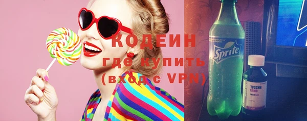 соль ск Вяземский