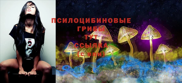 соль ск Вяземский