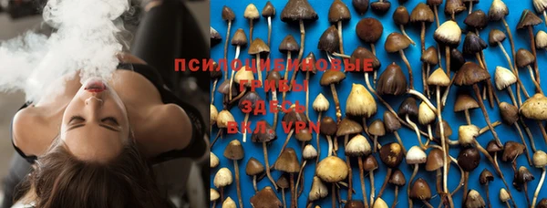 PSILOCYBIN Вязьма