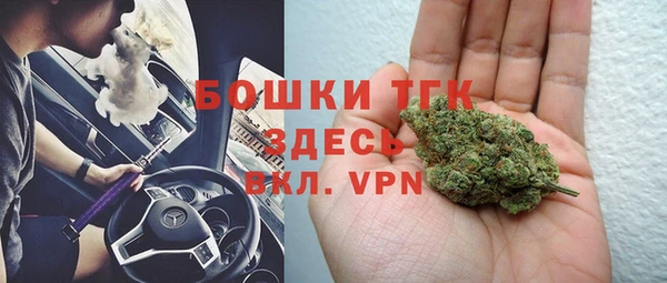 ПСИЛОЦИБИНОВЫЕ ГРИБЫ Вязники