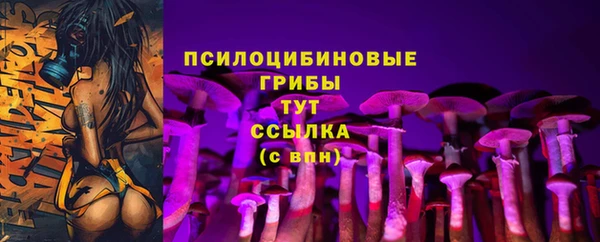 ПСИЛОЦИБИНОВЫЕ ГРИБЫ Вязники